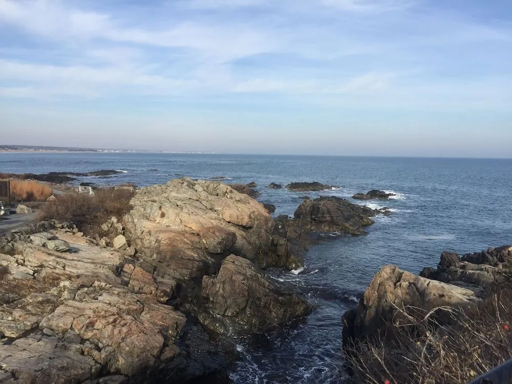Sea Rose Suites