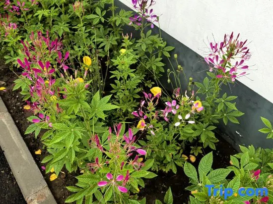 Muye Hanshe Homestay