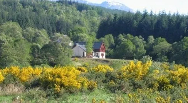 Garadh Buidhe