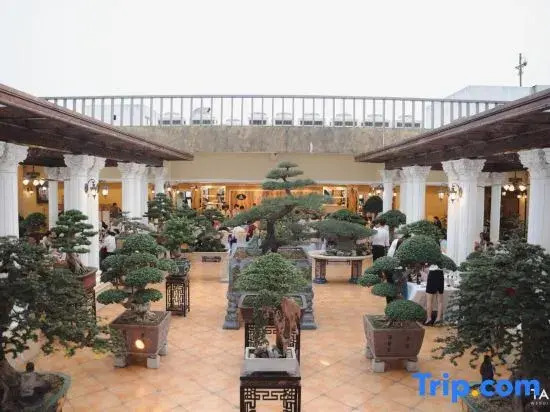 Phuong Anh Hotel