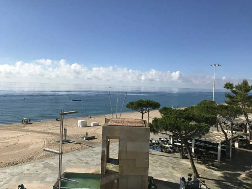 Apartamento Elypalace 1-3