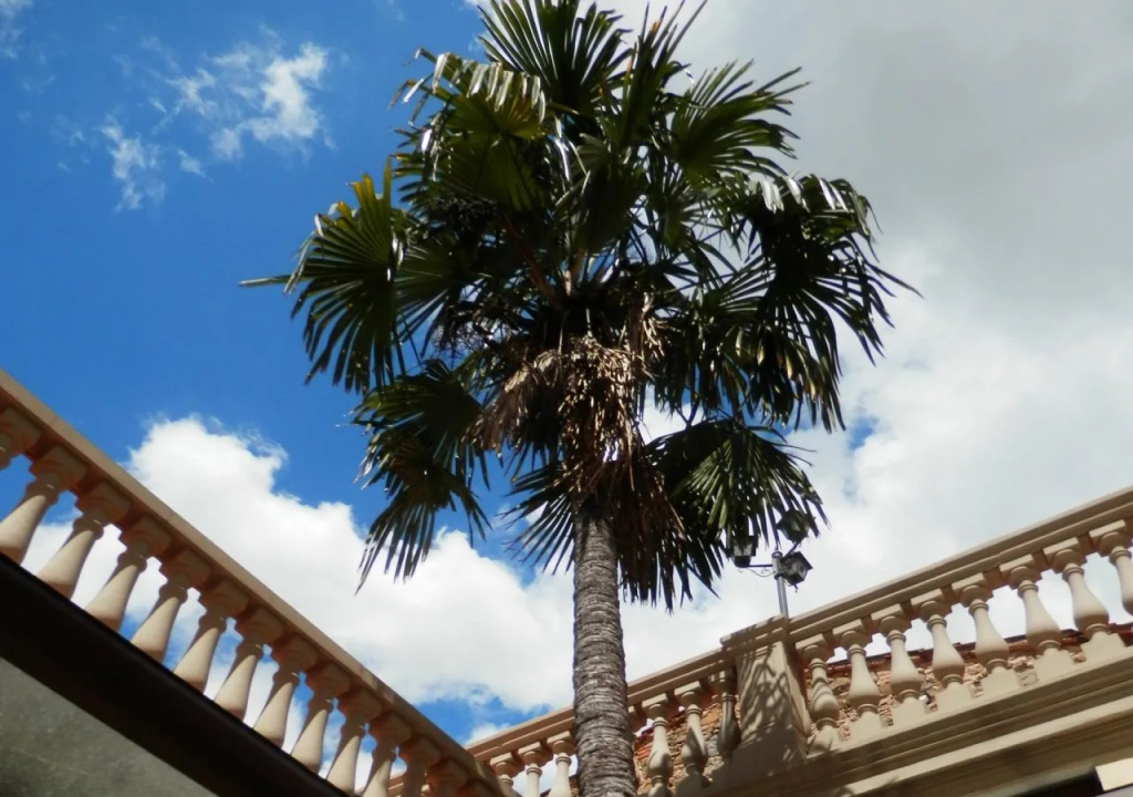 Comfy portion of property By Villa Il Mosaico