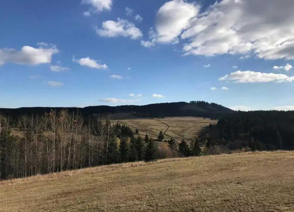 Lavish Holiday Home in Abertamy near Ski Area