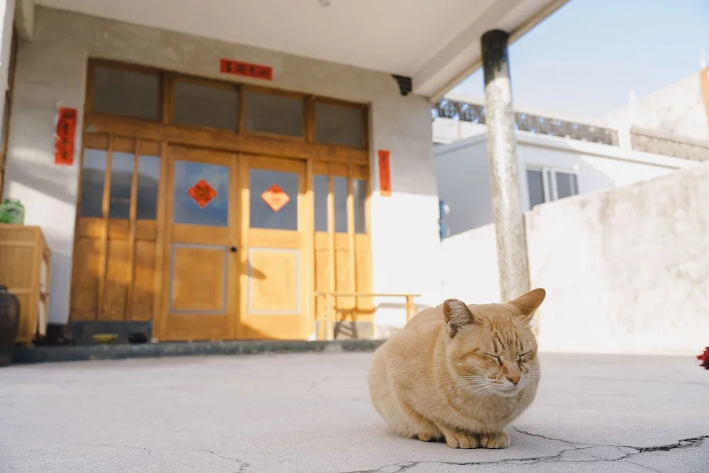 Tungwei38 Hostel