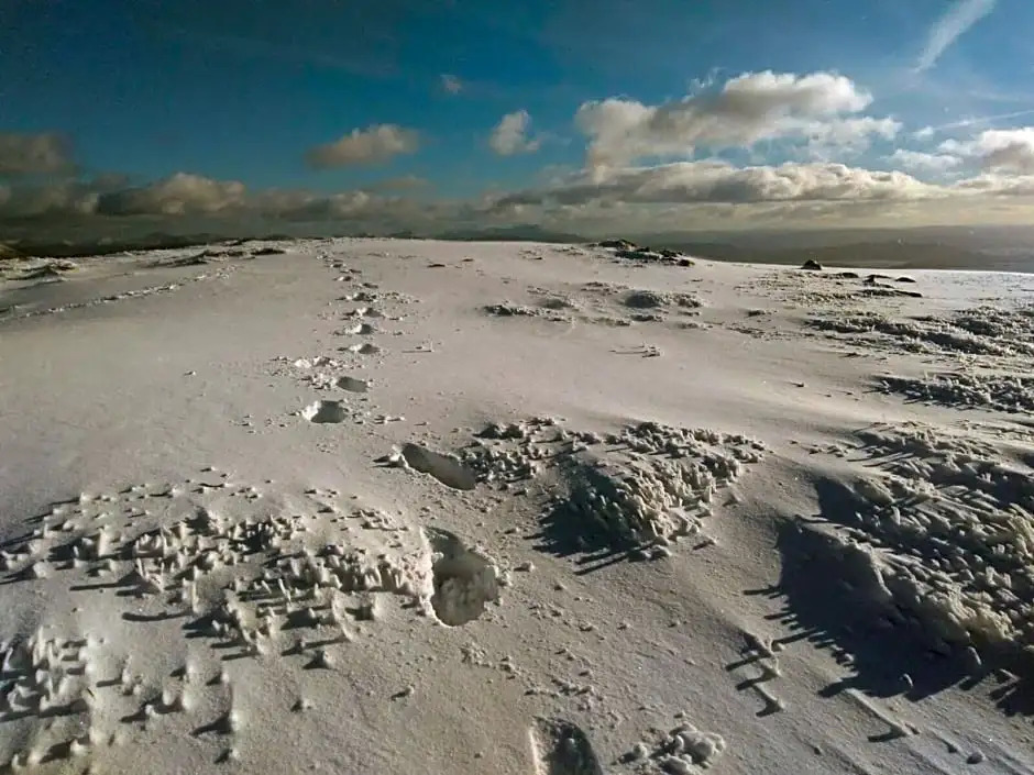 Uircheann Righ