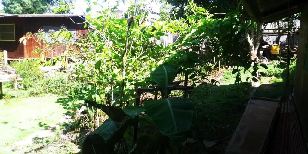 Yarina Guest house