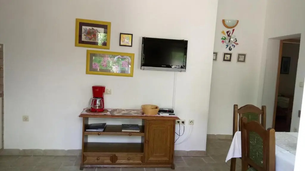 Apartment Burin Dvor