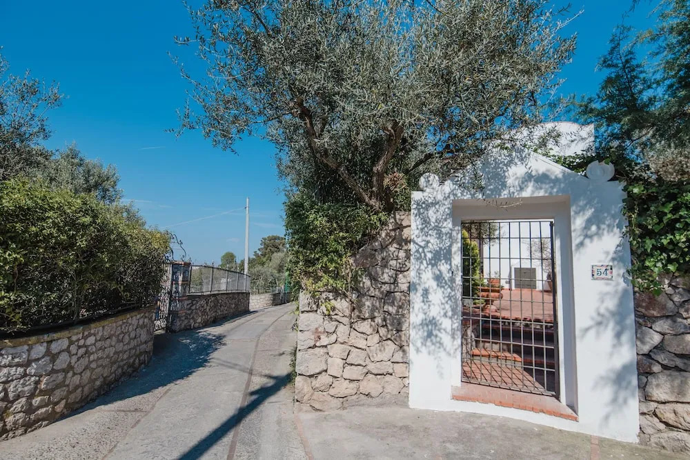 Panoramic Villa near Blue Grotto