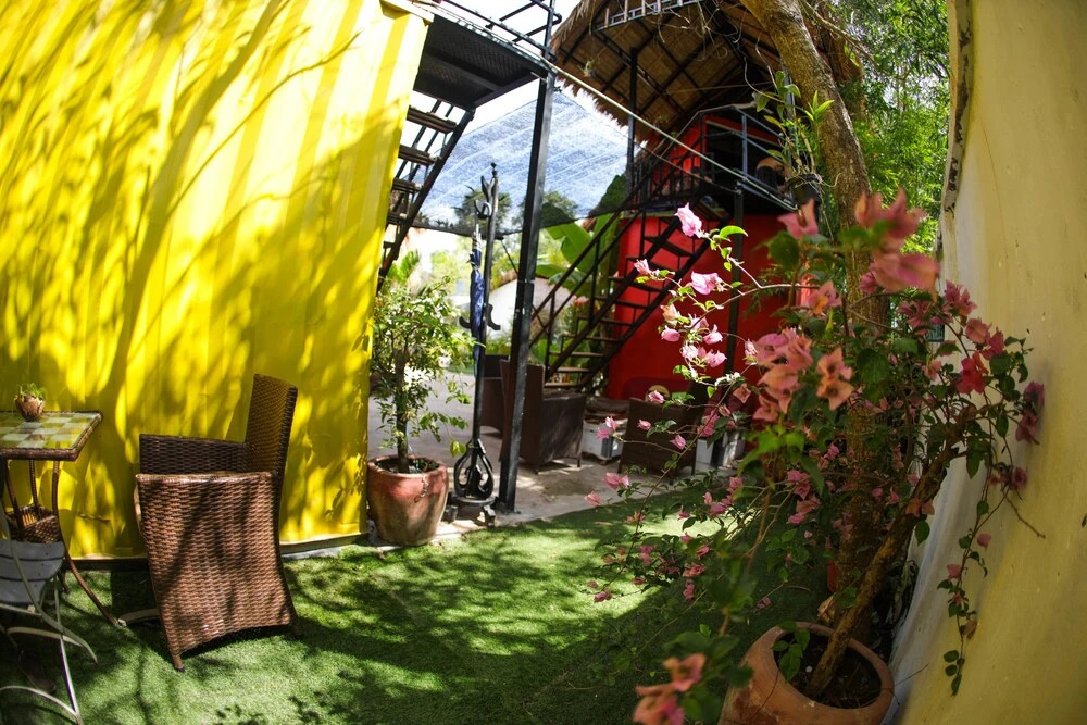 Jurassic Garden