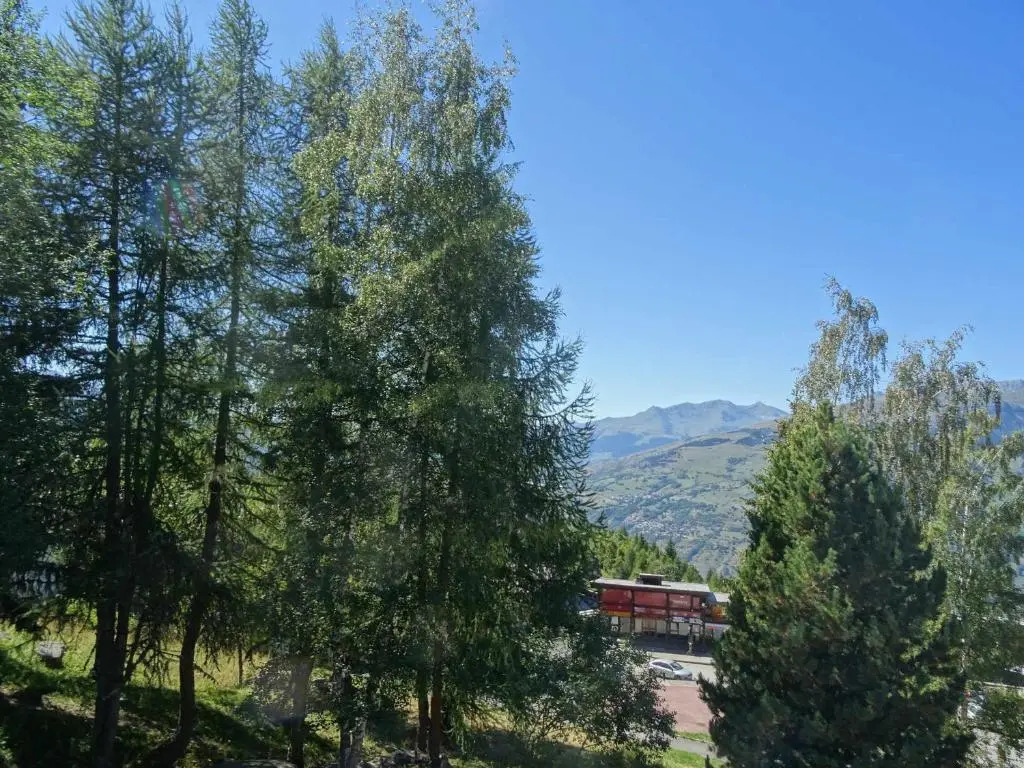 Appartement Les Arcs 1600, 1 pièce, 5 personnes - FR-1-411-373