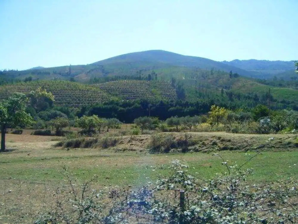 Welcoming house in Souto da Casa - 50 m² with enclosed garden