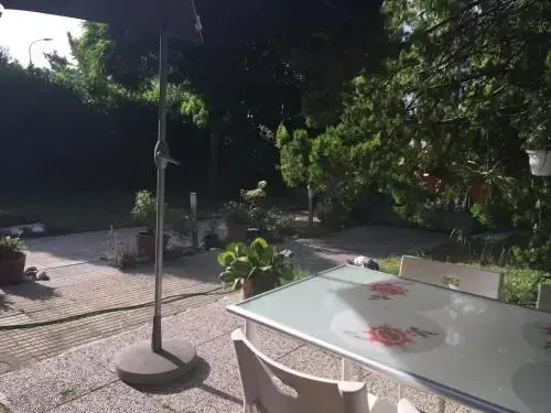 BB Casa Tomato