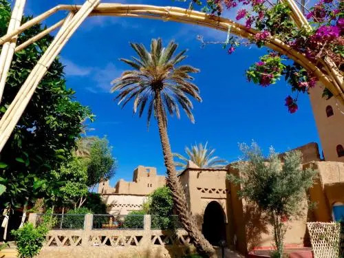 Riad Tabhirte