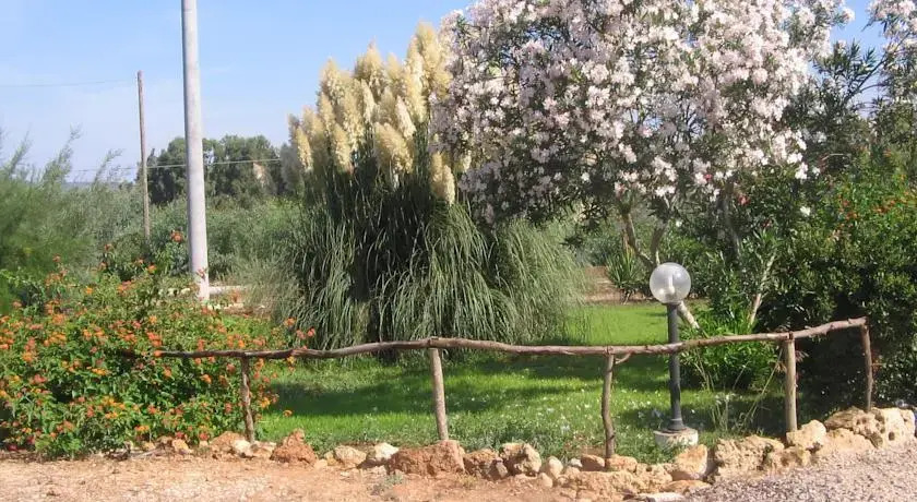 B&B Alvi