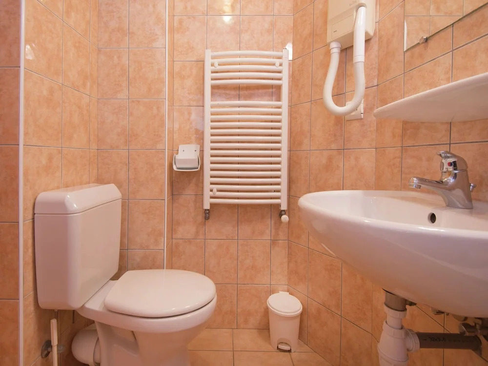 Comfortable Detached House for 14 People at the Lively Les Gets