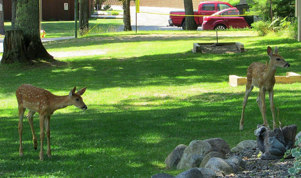 Lake Forest Resort & Club