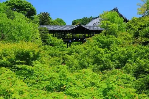櫛笥ノ家 Machiya Kushige