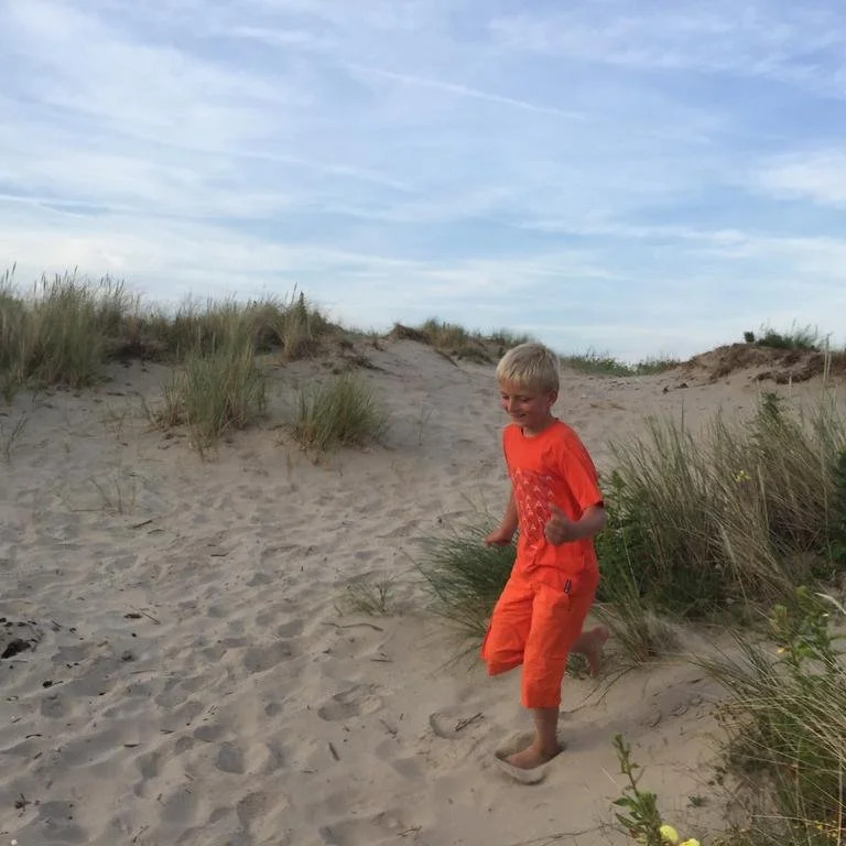 Hotel Les Dunes