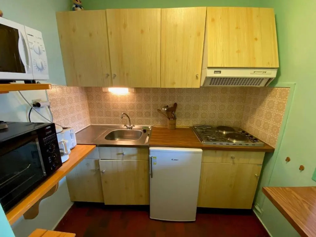 Appartement Le Grand-Bornand, 1 pièce, 4 personnes - FR-1-241-65