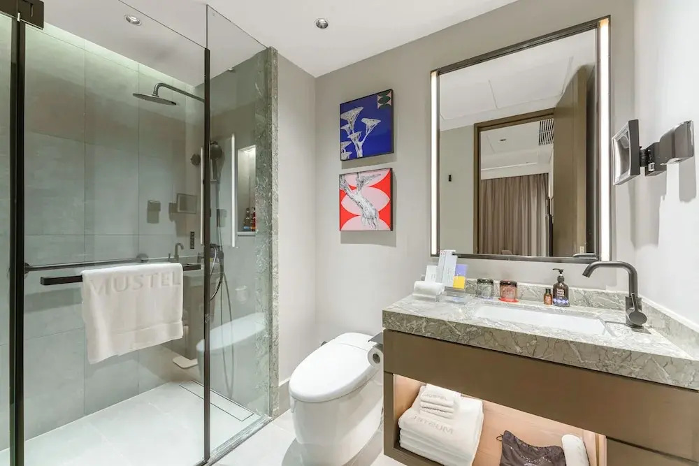 The Mustel Hotel Chongqing Hongyadong