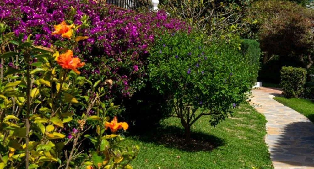 Apartment - 2 Bedrooms with Pool and WiFi - 107875