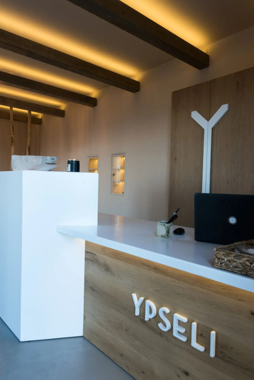 YPSELI Anafis hive