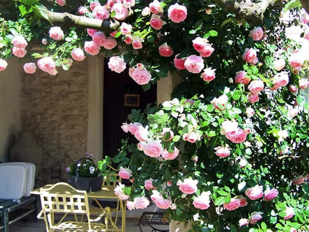 House With one Bedroom in Cavaillon, With Pool Access, Enclosed Garden