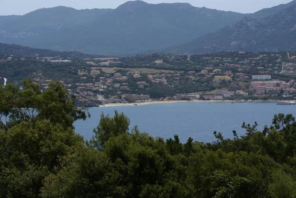 Carestella