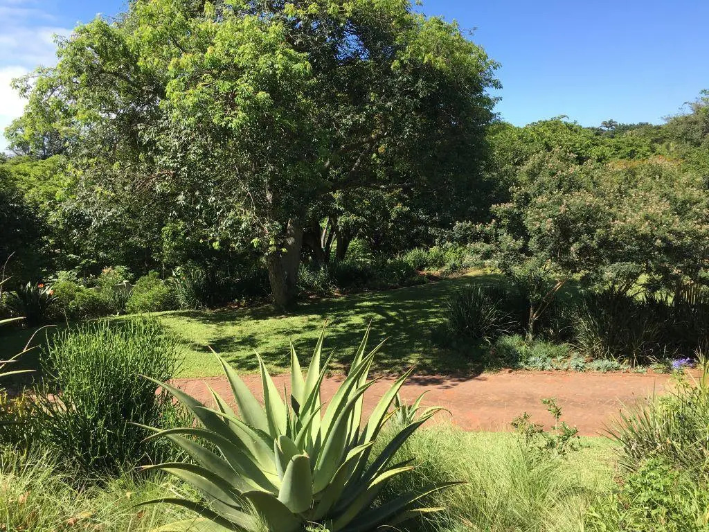 Ngoye Lodge