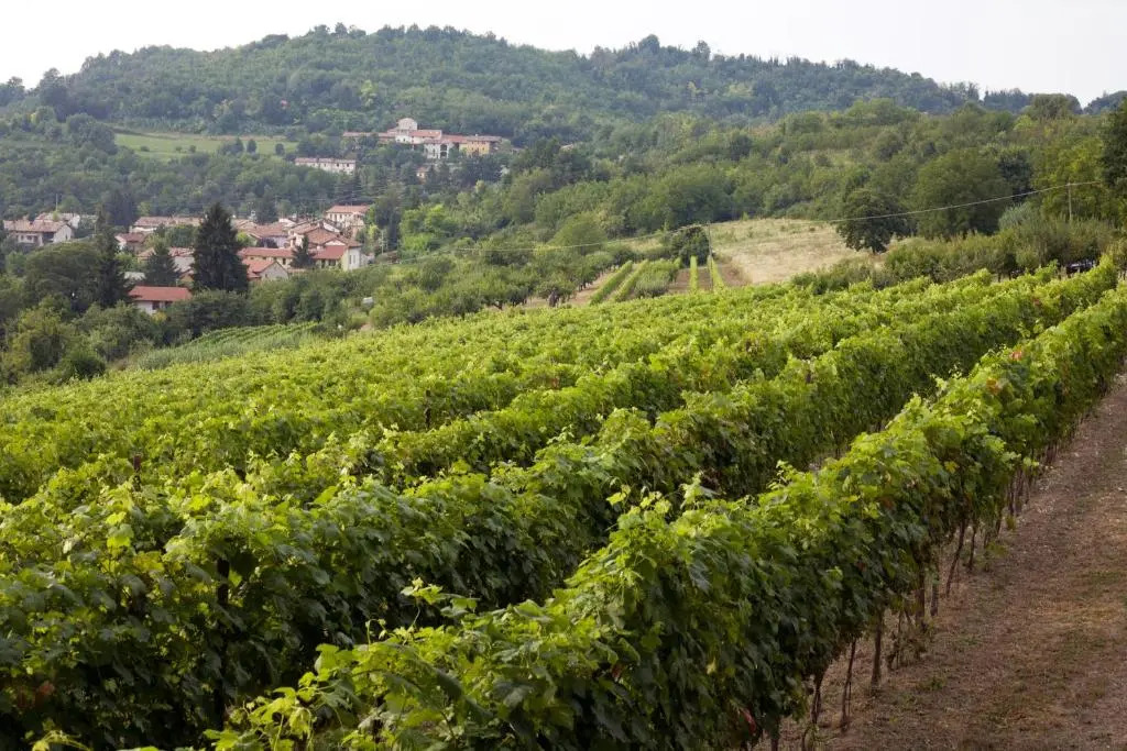 Ca San Sebastiano Wine Resort & Spa