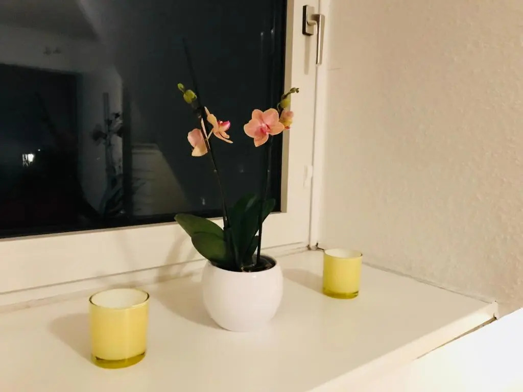 Apartment Braunschweig - Charlys Home