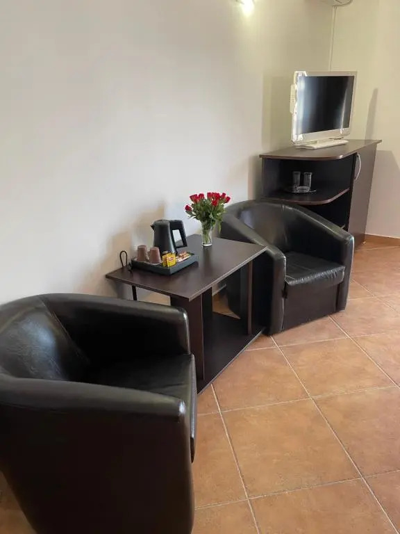 Ametist Casa Leului