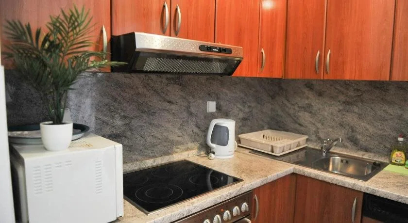 Apartments Puntamika
