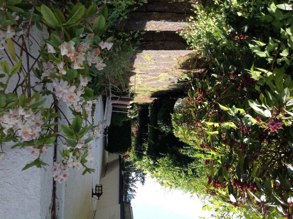 La Rosetta B&B