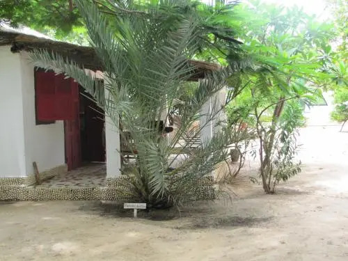 Le Bazouk Du Saloum
