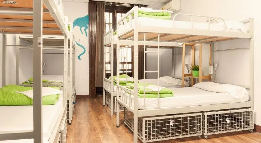 Cats Hostel Madrid Sol