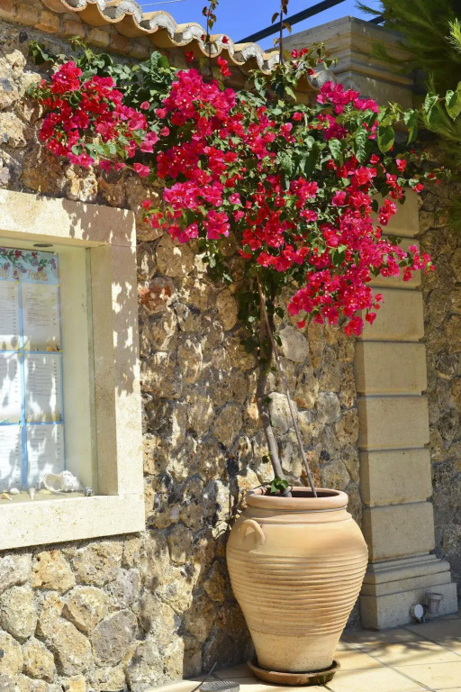 Delfino Blu Boutique Hotel