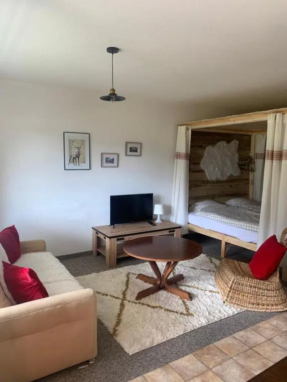 Appartement 1,5 pièce
