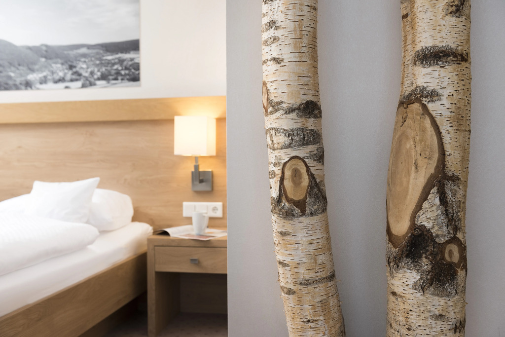 Best Western Plus Hotel Willingen