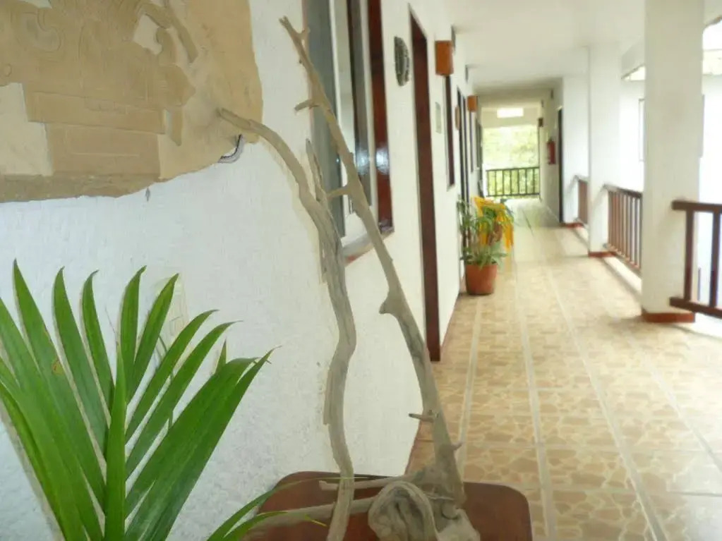 Hotel - Museo Xibalba
