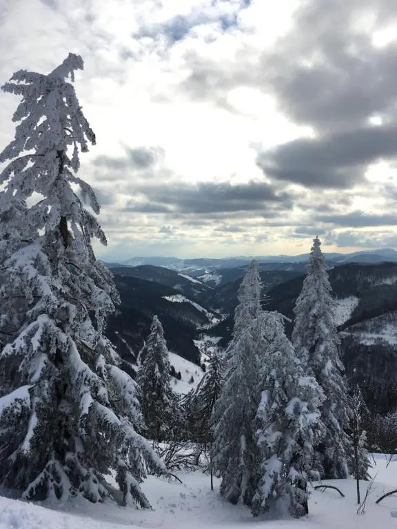Schwarzwaldglück