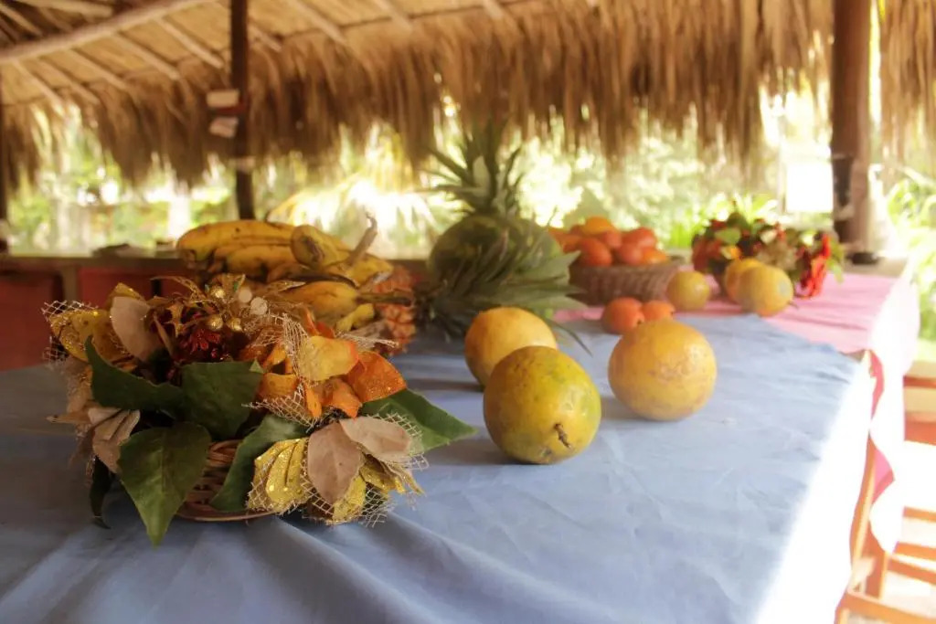 Eco Hotel Las Palmeras