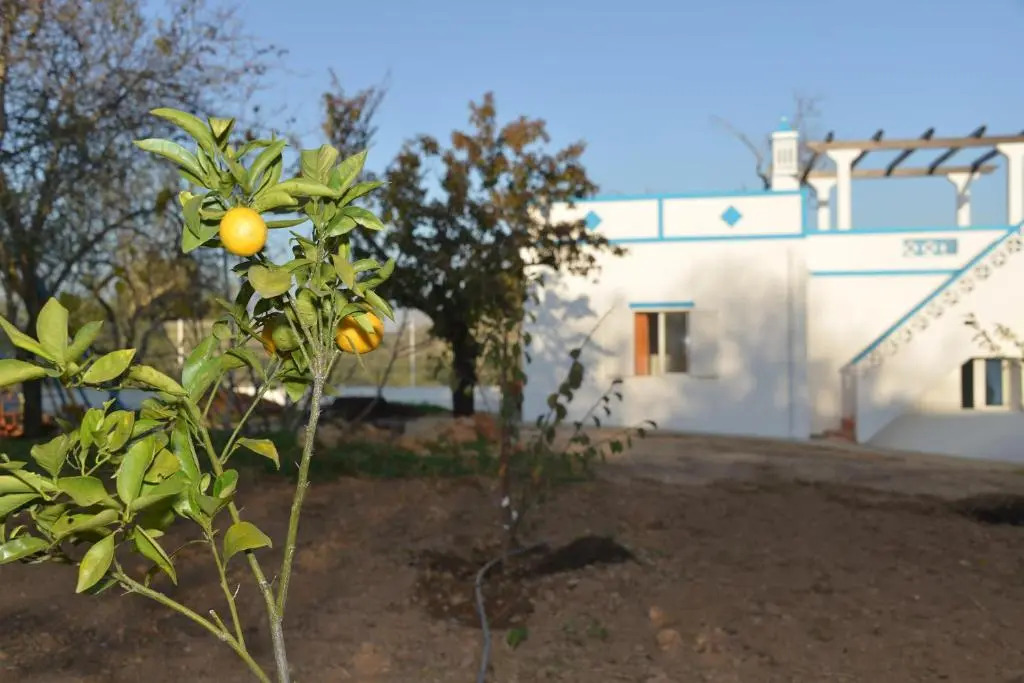 Quinta da Fonte em Moncarapacho