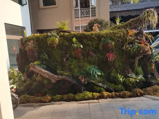 Tuwa Homestay
