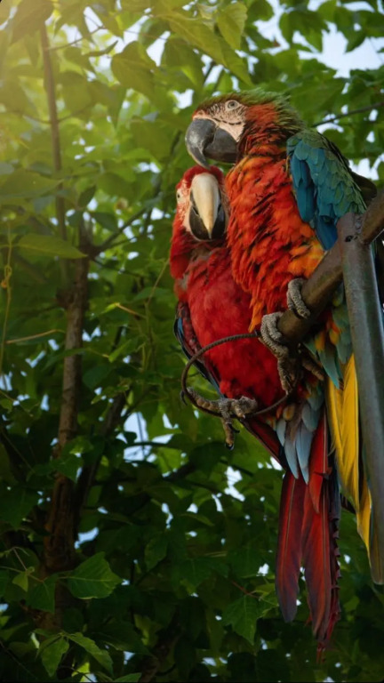 Polonezköy Country Club & Accommodation in the Wildlife Park