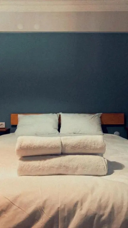 Convenient And Furnished Flat In Izmir Bayrakli