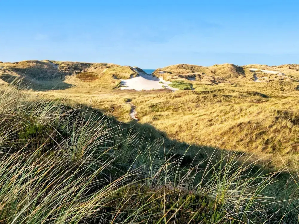 5 star holiday home in Ringkøbing