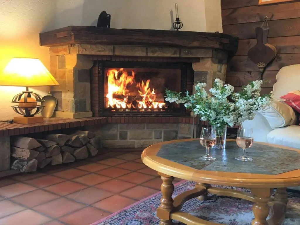 Chalet familial avec jardin et cheminée, animaux acceptés - FR-1-624-67