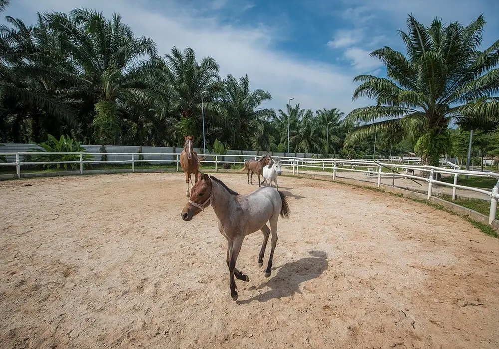 Sinar Eco Resort
