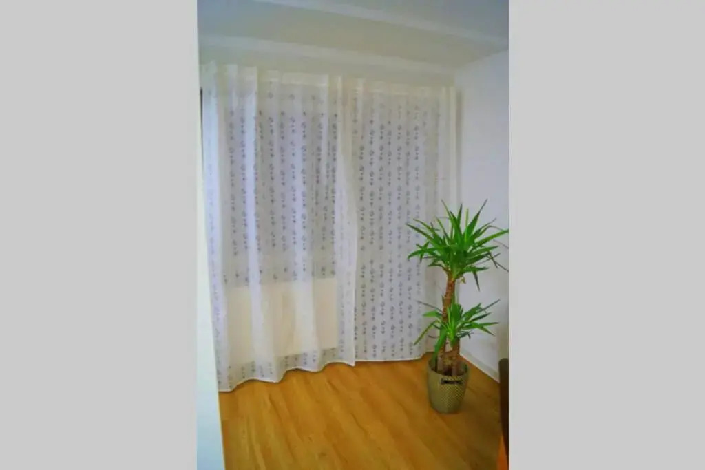 Zentrum Speyer Premium-Apartment